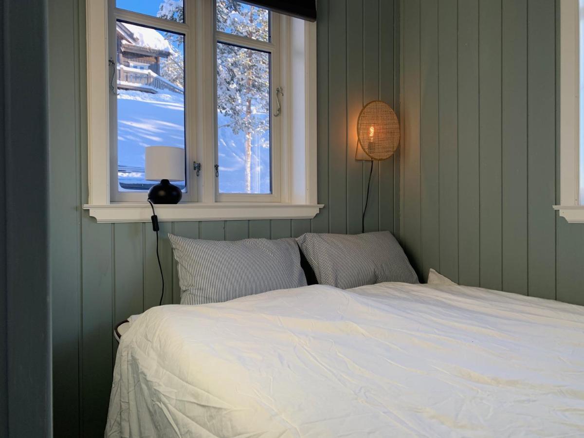 Lemonsjoen-Jotunheimen-Besseggen Villa Stuttgongfossen Luaran gambar