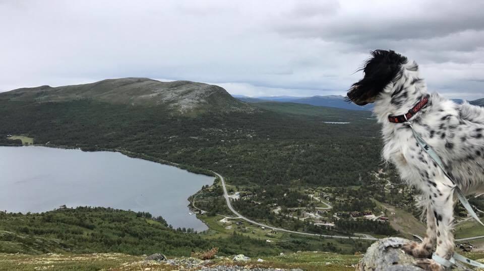 Lemonsjoen-Jotunheimen-Besseggen Villa Stuttgongfossen Luaran gambar